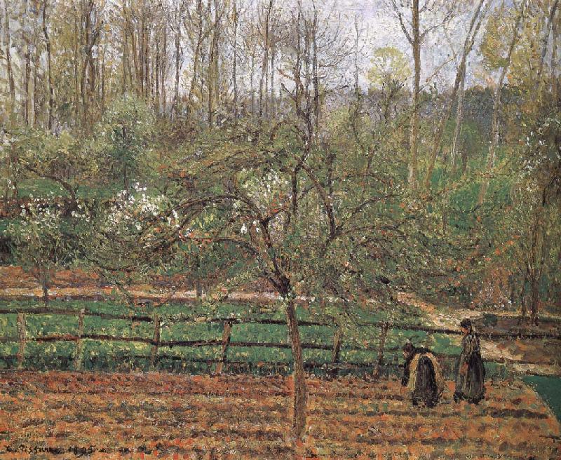Camille Pissarro Spring China oil painting art